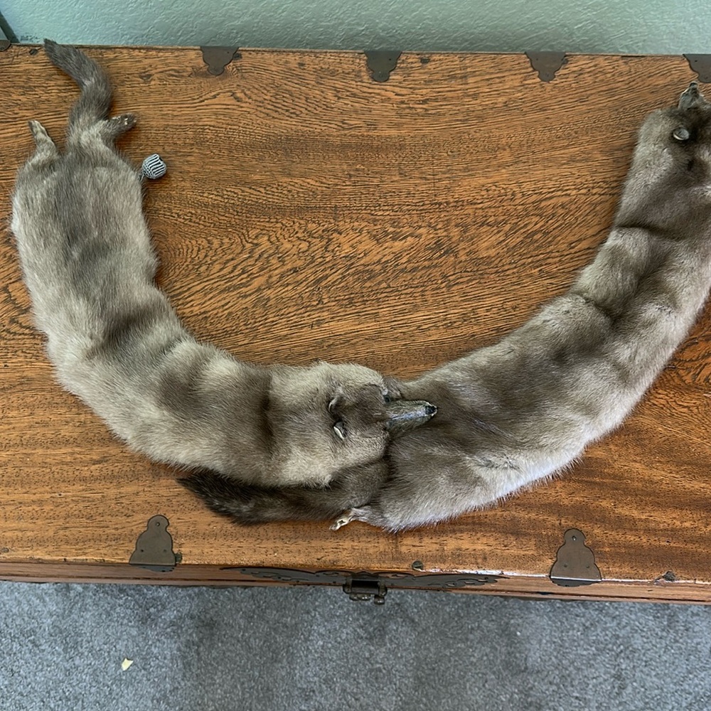 OLD mink collar/shoulder piece - handed down…